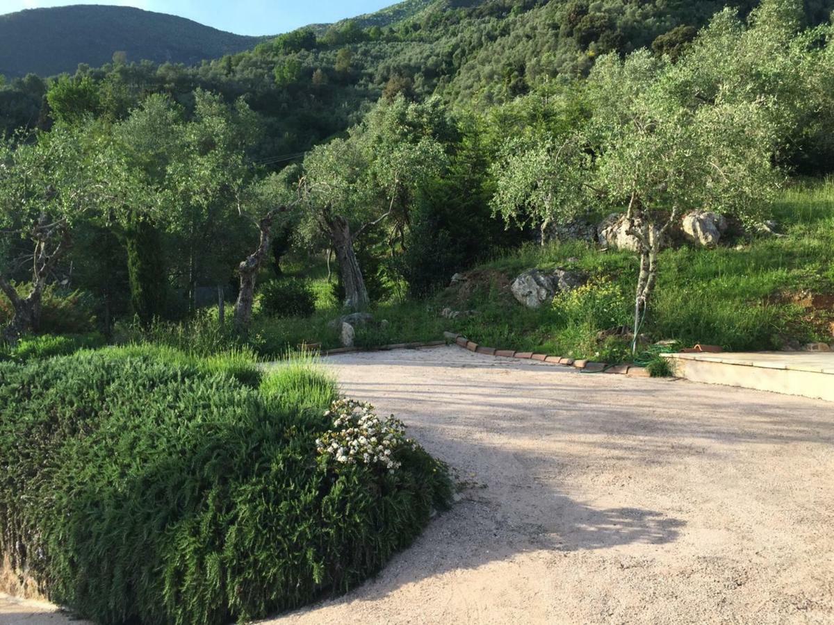 Valuable Rustic Tuscan Swimming Pool, Breathtaking View Of Camaiore Exterior photo