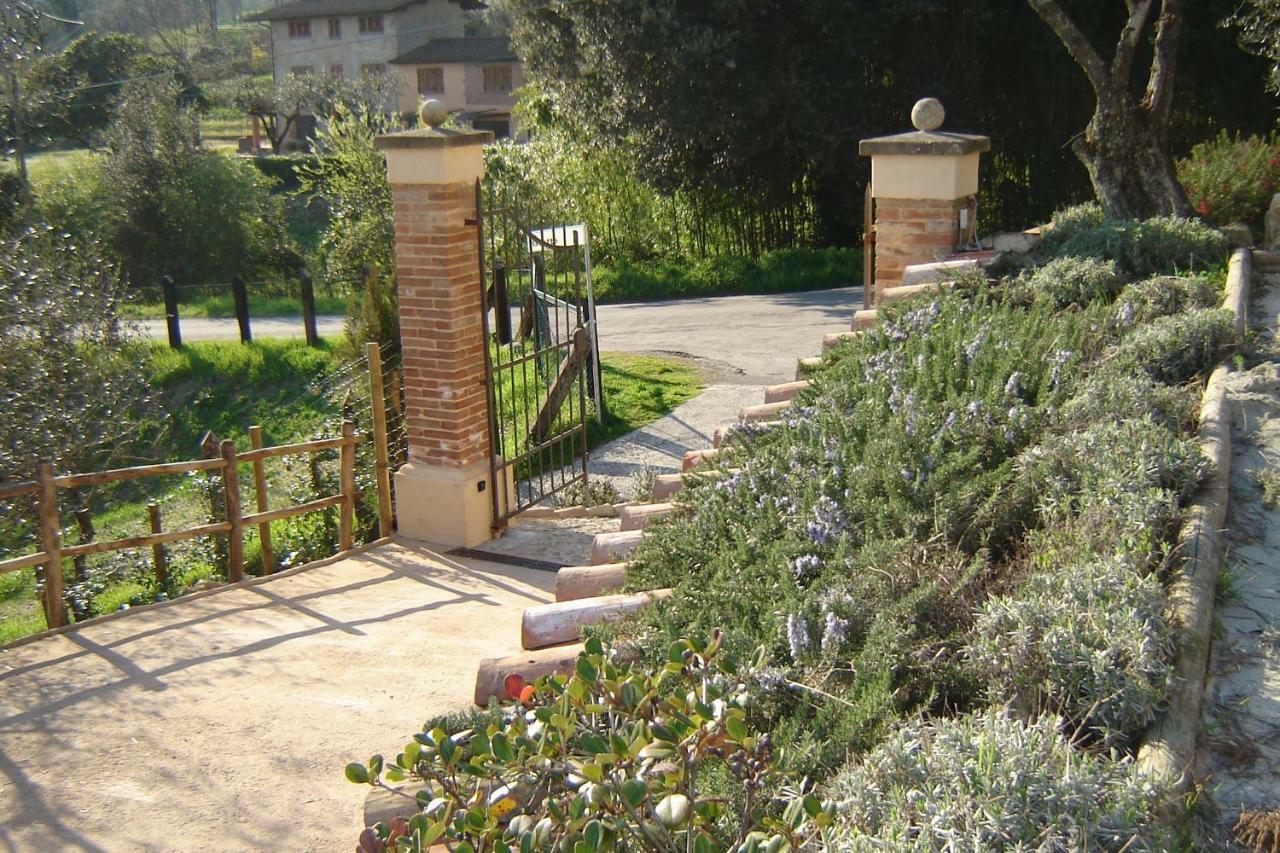 Valuable Rustic Tuscan Swimming Pool, Breathtaking View Of Camaiore Exterior photo